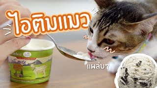 เมื่อลองให้แมวกินไอติมครั้งแรก!?