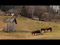 Life in the mountains a large family lives far away from civilization at the edge of the world