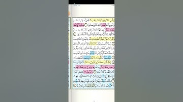 تثبيت وتربيط سورة العنكبوت الربع الأول[ من ١ حتى ٢٥ ]