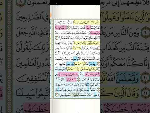 تثبيت وتربيط سورة العنكبوت الربع الأول من ١ حتى ٢٥