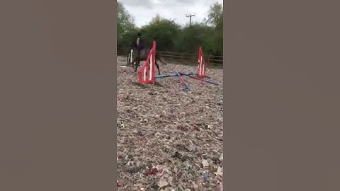 Frank first time over poles