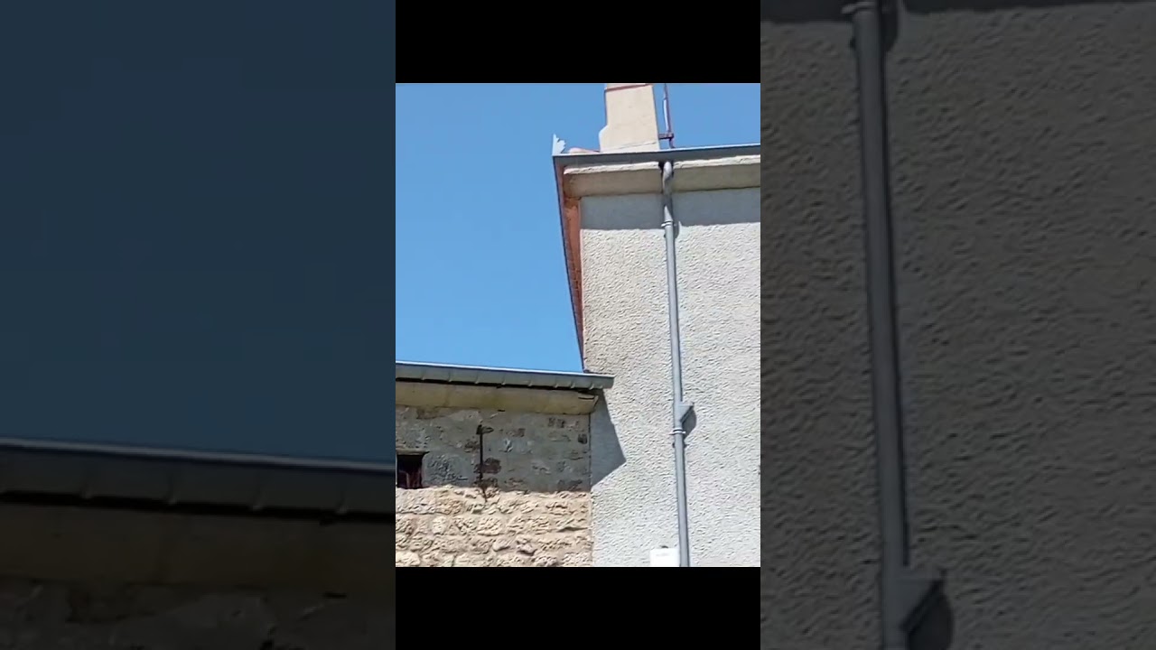 Soleil à la Saint Éric; du VIN plein les bariques 