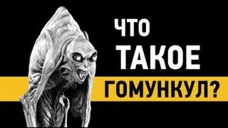 Что такое Гомункул?/Гомункул в домашних условиях/Как сделать гомункула дома Что такое Гомункул?/Гомункул в домашних условиях/Как сделать гомункула дома