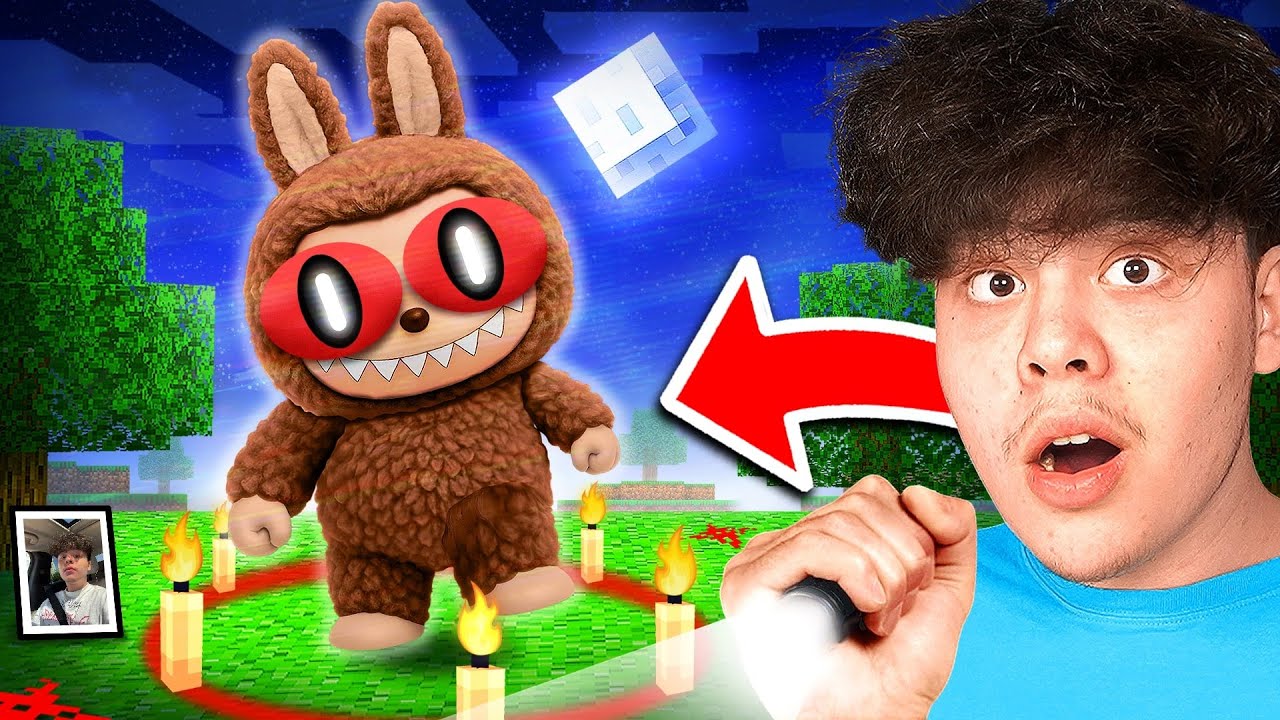 AI GRIJA de LABUBU !