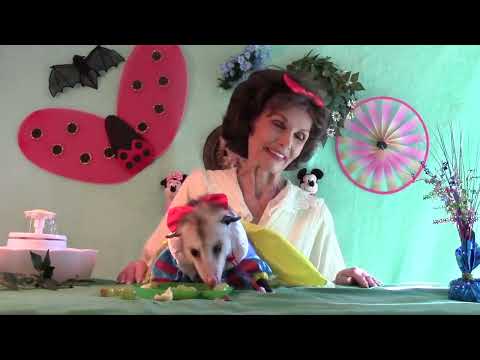 Proper Possum Disney Princess