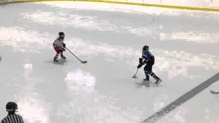 IMG 4730