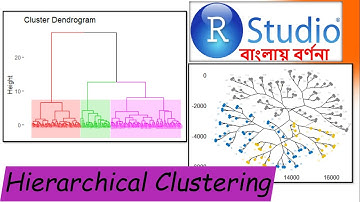 Hierarchical clustering in RStudio (Tutorial 4.14) || Machine Learning || In Bengali