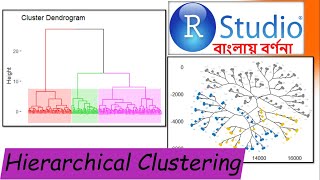 Hierarchical clustering in RStudio (Tutorial 4.14) || Machine Learning || In Bengali