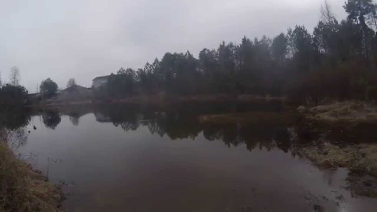 Fishing with Zoom Plastics