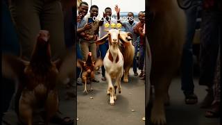 POV: You live in Lagos 😂 #LagosLife #FunnyShorts
