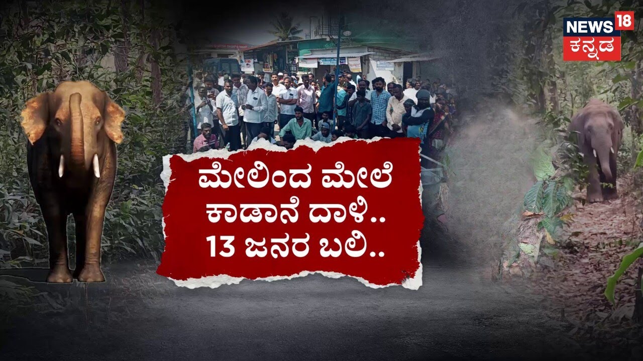 Woman Dies in Elephant Attack in Chikkamagaluru | ಕೆಲಸಕ್ಕೆ ಹೋಗಿದ್ದ ಮಹಿಳೆ ಮೇಲೆ ಆನೆ ಅಟ್ಯಾಕ್‌