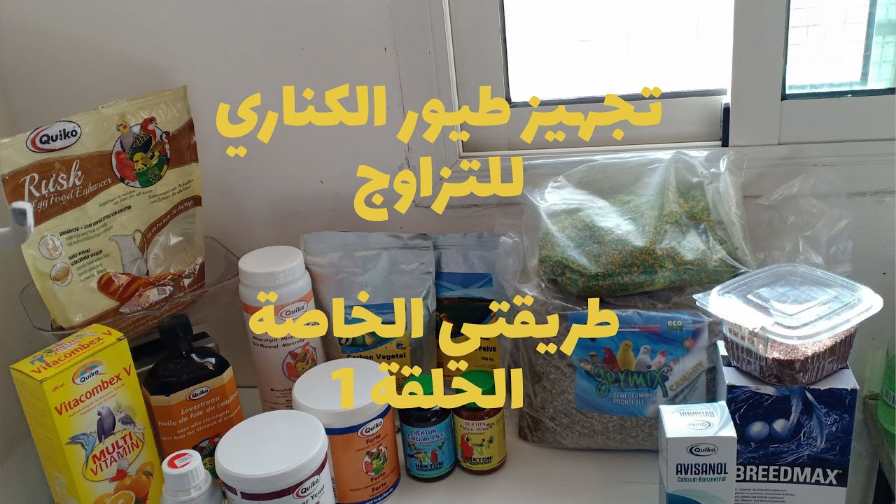 تجهيز طيور الكناري للتزاوج   طريقتي الخاصة الحلقة رقم 1