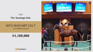 Into Mischief colt sells for $4,100,000 at The Saratoga Sale (2025)