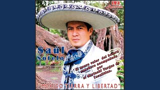 México Tierra y Libertad