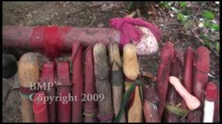 David Carradine remembered at a Bangkok Fertility Phallic Dildo Shrine Temple