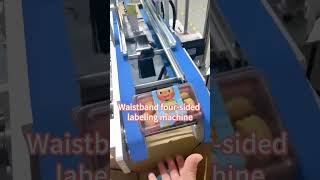 Automatic Four-Side Waist Seal Labeling Machine | Carton Seal Labeling Solution