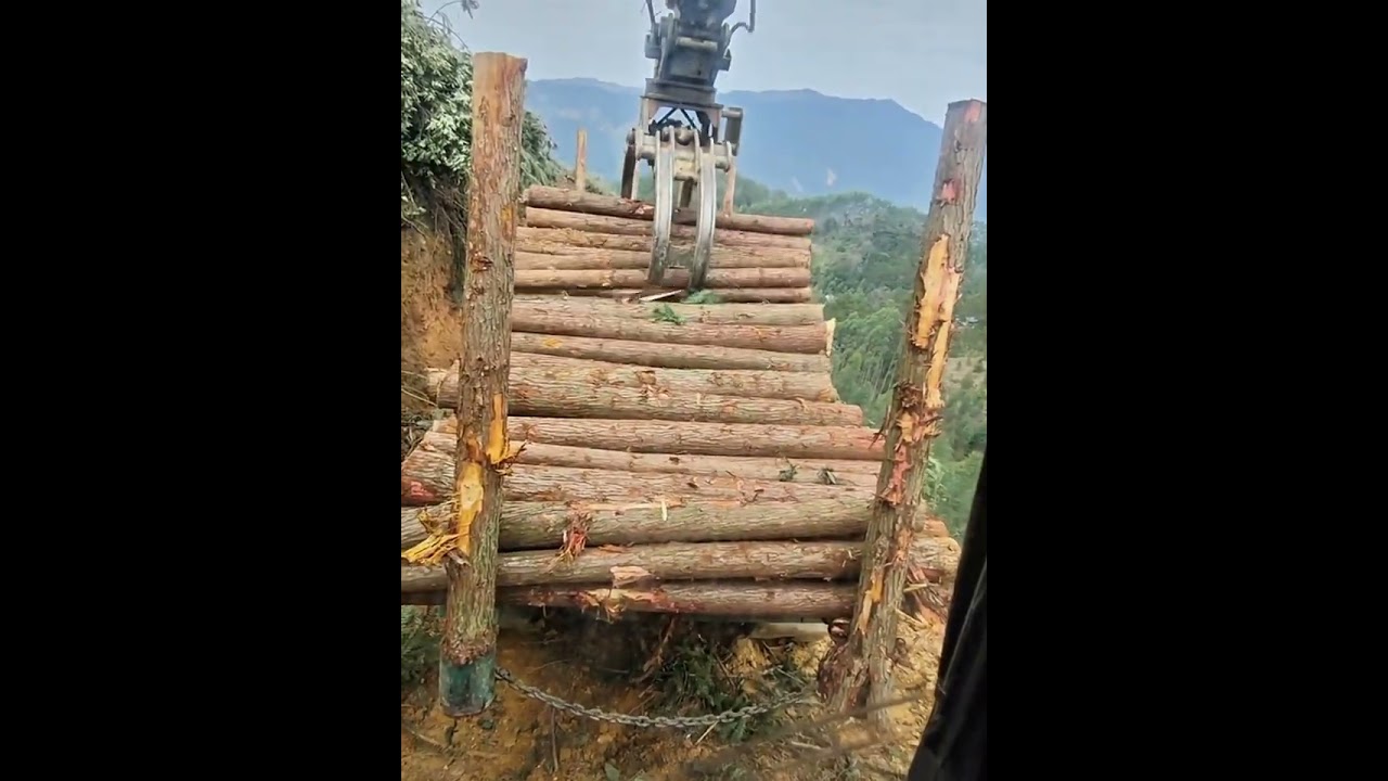 Excavator and log stacker operator skills on high hills.