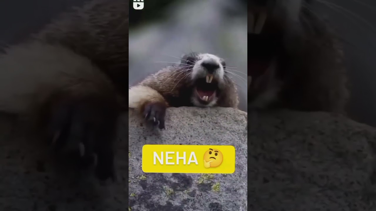 Tag Neha you know... 