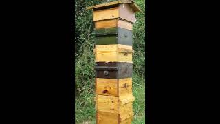 Warre hive during the summer flow