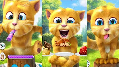 Video 4327291: talking ginger funny, cartoon talking, cat