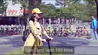 Zippy Scootz Electric Foldable Scooter