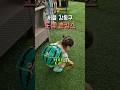 아이와 농장체험을 도시에서?!🍉 [스페이스팜 강동]