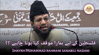 Palestine Ke Liye Hamara Mauqif Kya Hona Chahiye Shaykh Mohammad Rahmani Sanabili Madani Q & A