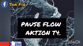 PAUSE FLOW - AKTION T4 CLASH  ( DIB - RAID ) 2020