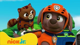 Patrulha Canina | Procurando Fantasmas na Floresta! 👻 | Nick Jr. em Português