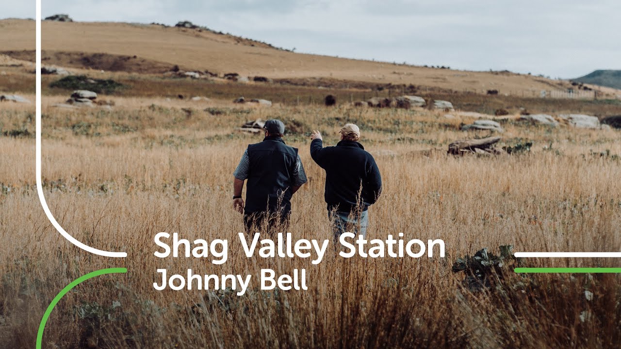 shag valley Station Otago PGG Wrightson YouTube