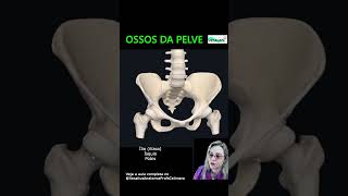 Anatomy: 3D Hip Bone #medicine #anatomy #locomotor #hip