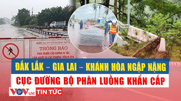 Lâm Đồng mưa kỷ lục: Đèo Prenn – Mimosa – D’ran đứt gãy, Cục đường bộ hỗ trợ khẩn 5.000 rọ đá