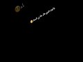 شاشه سوداء قد كان عندي طير ربيته انا الحـ ــكــومـه  