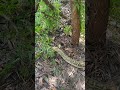 https://youtu.be/Drpg2taEm7A?si=4EzO4U41drqC9ZgU
