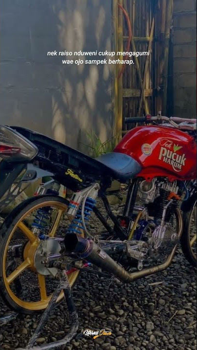 story' wa HEREX || story' wa HEREX KEKINIAN || story' wa HEREX TERBARU 2022.