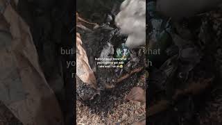 What Do You Guys Think - Was It Worth Saving The Bear?