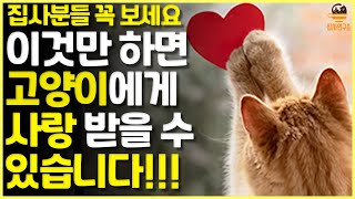 집사분들 꼭 보세요 이것만 하면 고양이에게 사랑 받을 수 있습니다!!! | 고양이 특징, 고양이 특성, 고양이 애정행동 |