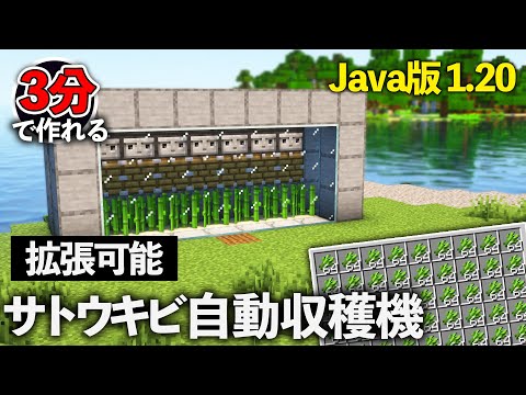 【Java版 1.20】サトウキビ回収機の作り方【Minecraft】