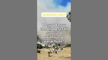 Do you know the highest fall survived without a parachute? #survival #facts #shorts