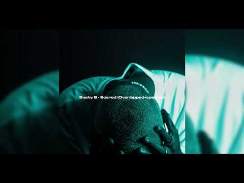 Scared - Bushy B (overlapped+sped up)