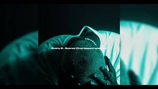 Scared - Bushy B (overlapped+sped up)