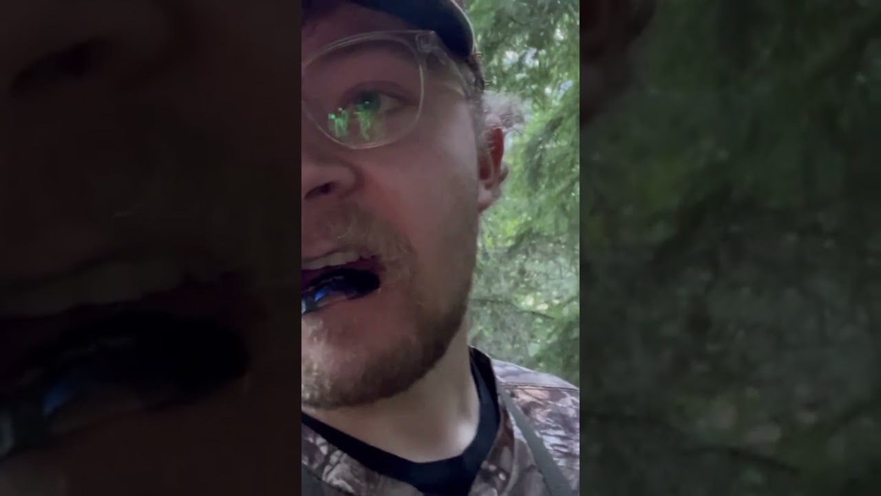 Bugling bull elk #pnw #hunting #elk #subsribe #september #idaho #shorts #3ksubs #rockymountains