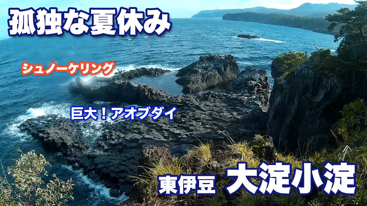 【孤独な夏休み】東伊豆の大淀小淀は大物もいる魚の楽園だった