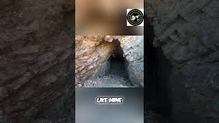 Exploring Abandoned Gold Mines & Unique Desert Plants #shorts