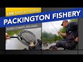 Live Match Fishing: Matrix Champs, Packington Fishery