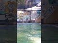 #syekhermania berenang di kolam renang