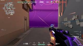 [ OmaGOD ] Reyna collateral 4 | Split
