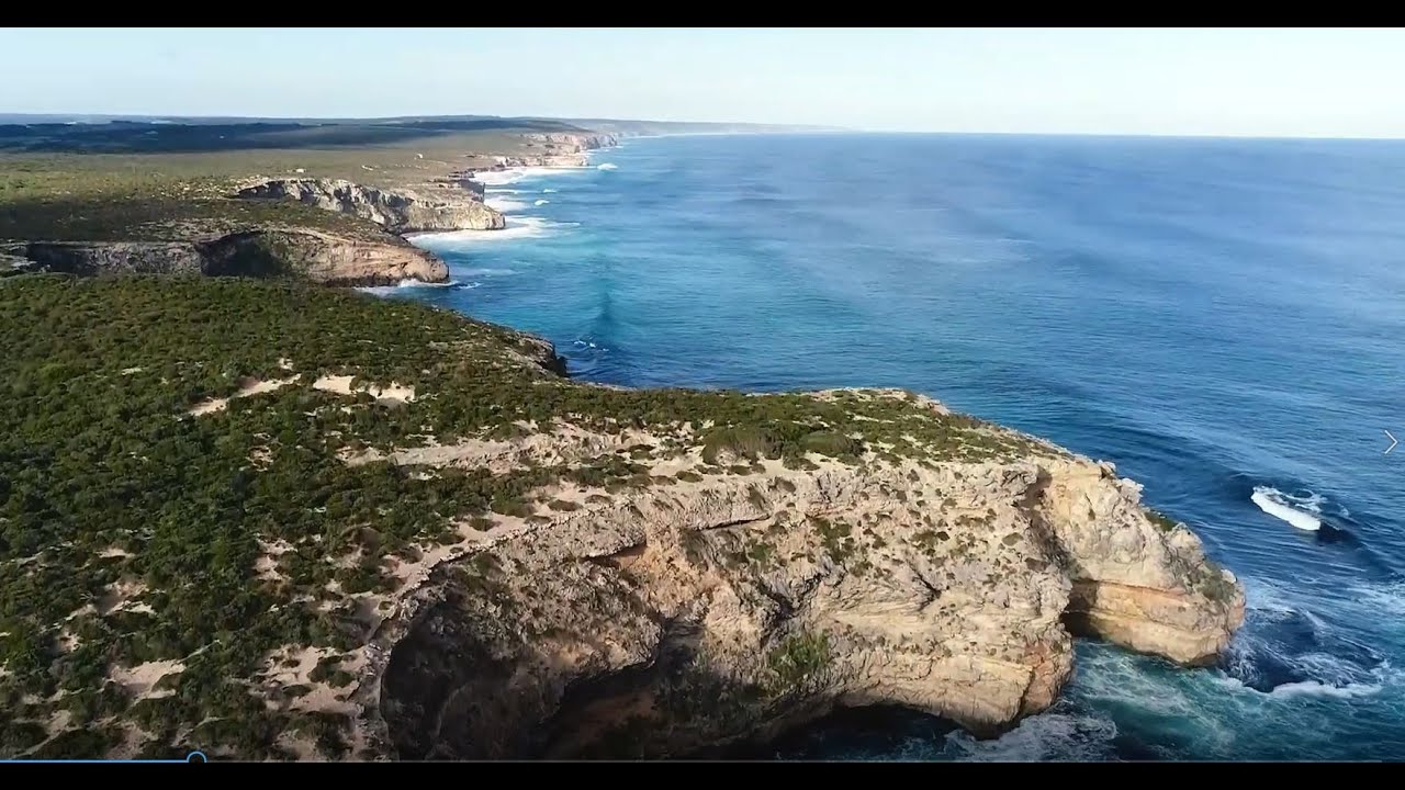 Feral Free Kangaroo Island 2021