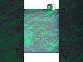Lock Only Certain Cells in Excel! #excel #protection