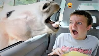 You Laugh, You Lose 😂 | Viral Meme Compilation